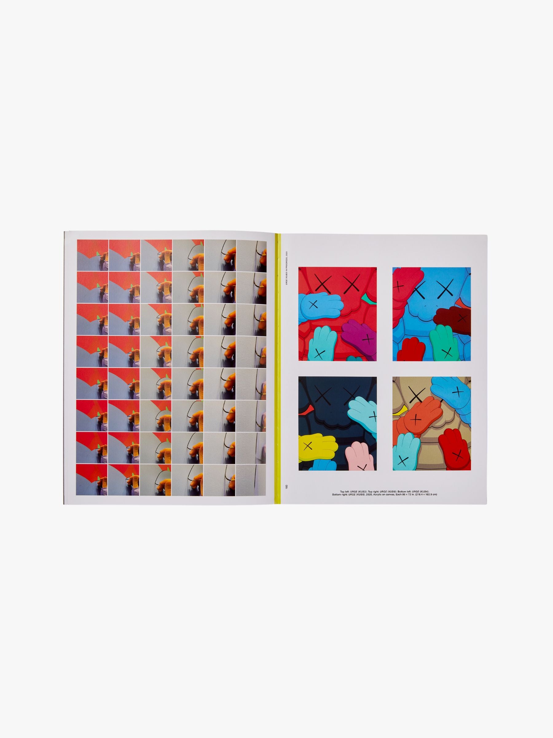 Phaidon KAWS: What Party (Black on Pink Edition)