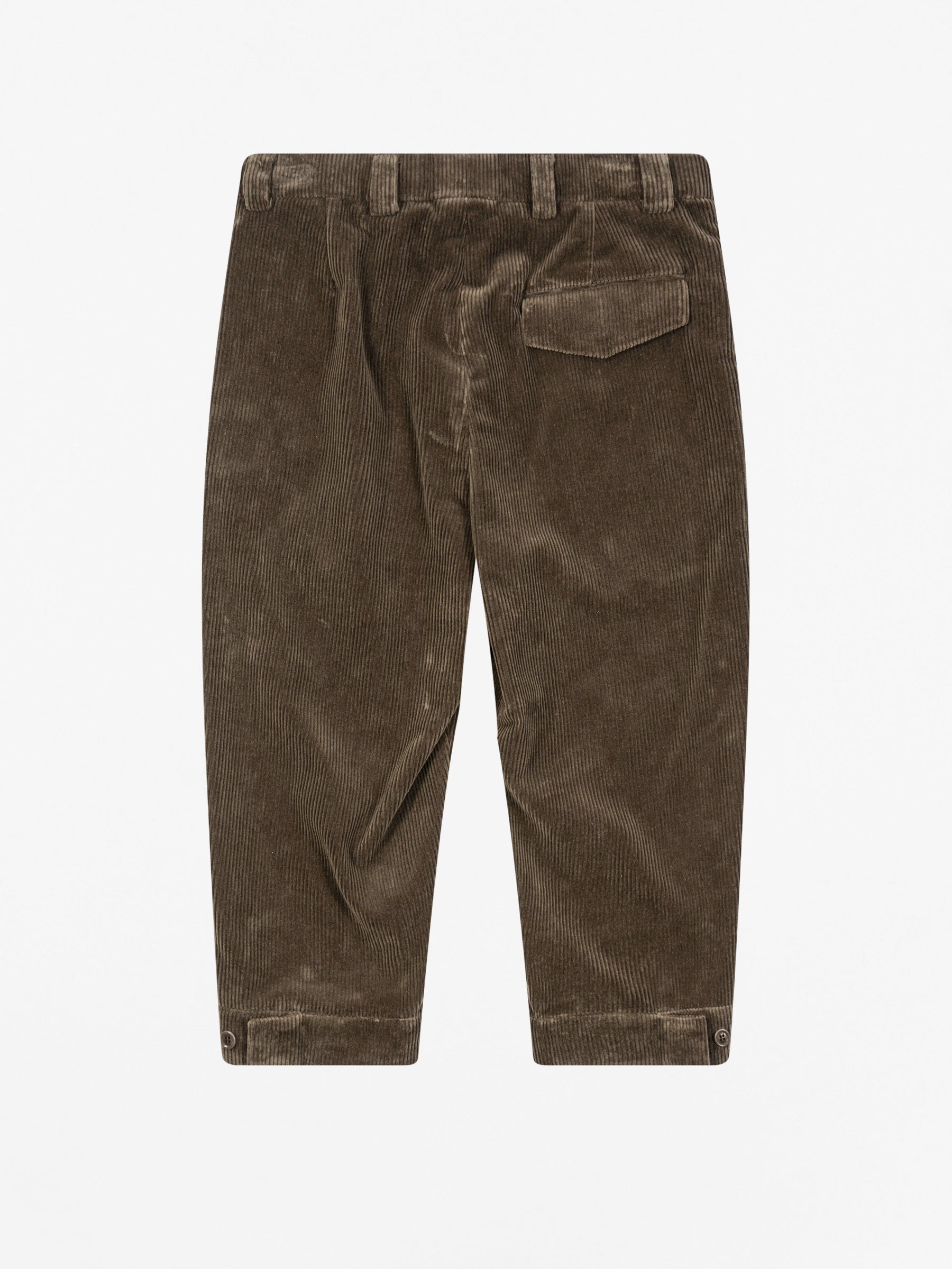 Knickerbocker Corduroy Shorts Castoro